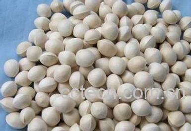 果蔬百科中药白果-0