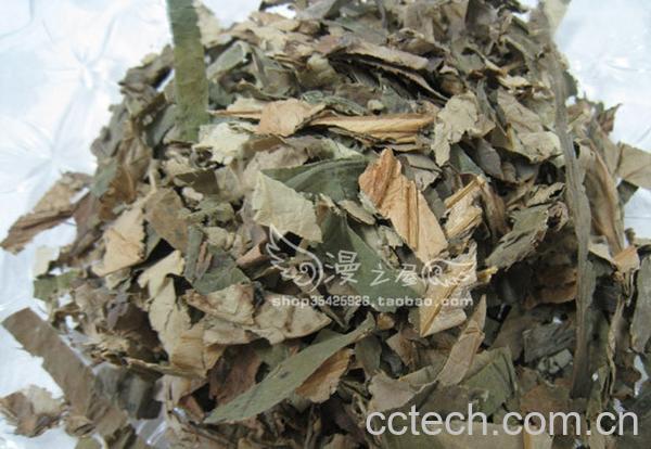 果蔬百科荷叶-0