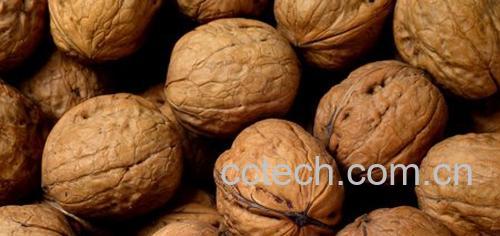 果蔬百科核桃皮-0