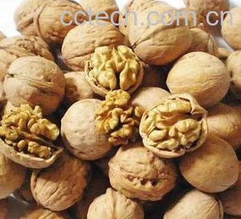 果蔬百科核桃的药用价值-0