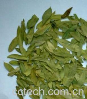 果蔬百科番泻叶的作用-0