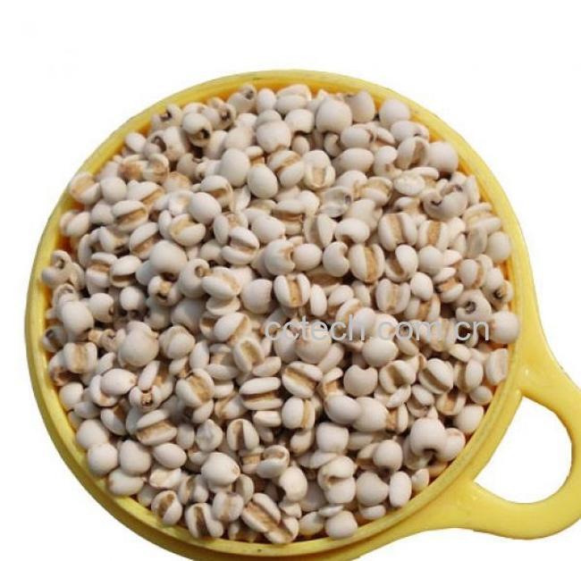 果蔬百科薏仁-0