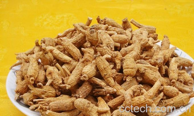 果蔬百科洋参-0