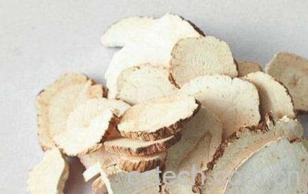 果蔬百科白芷-0