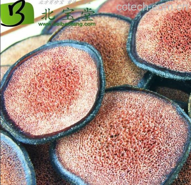 果蔬百科鹿茸功效-0