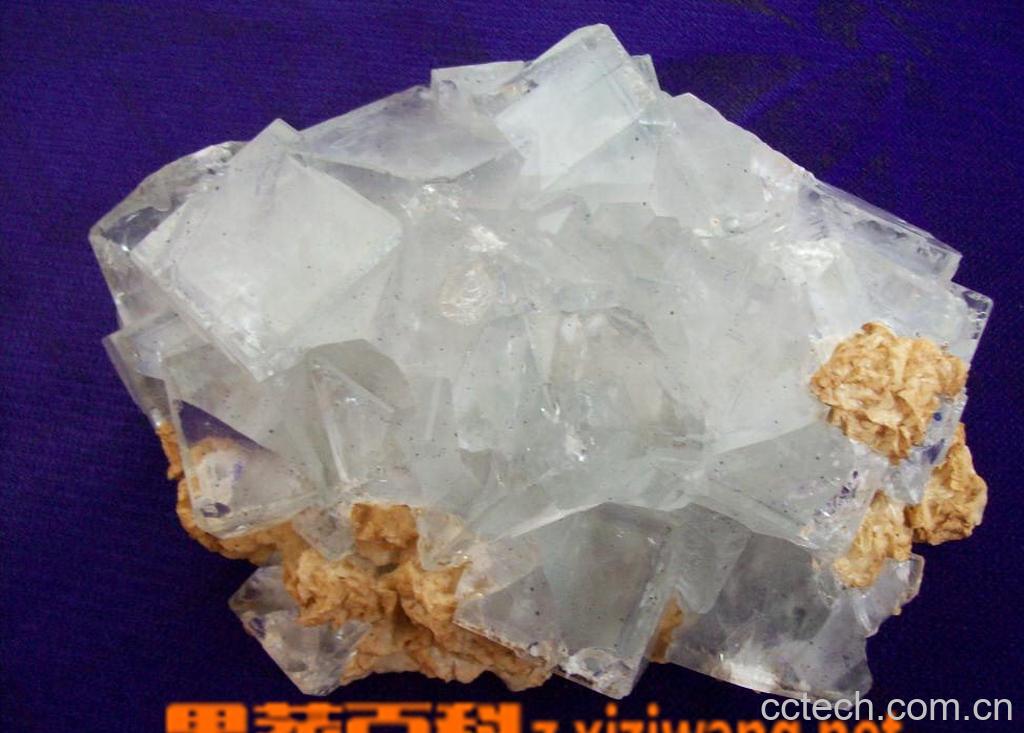 果蔬百科花蕊石-0