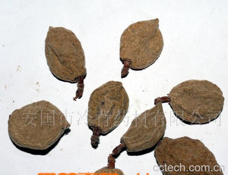 果蔬百科碧桃干-0