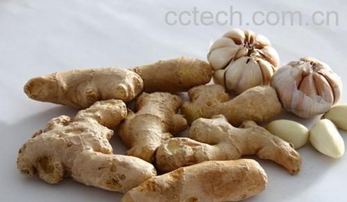 果蔬百科天南星的功效与作用-0