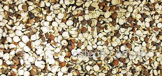 果蔬百科芡实的功效-0