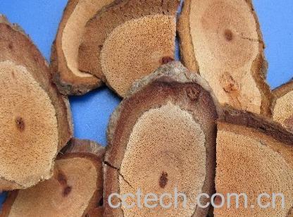 果蔬百科海风藤的功效与作用-0