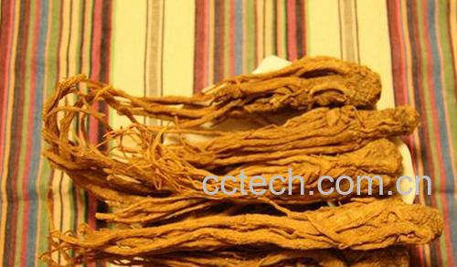 果蔬百科当归的作用-0