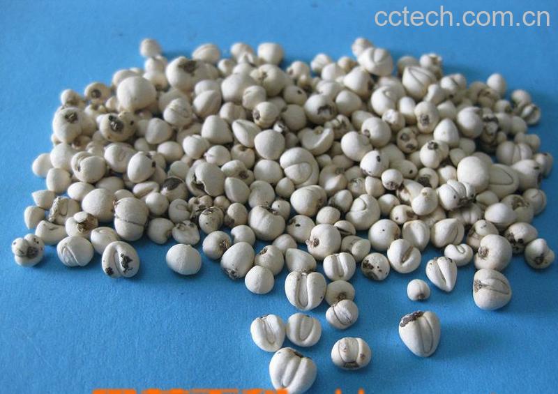 果蔬百科川贝母的功效与作用-0