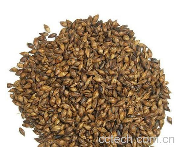 果蔬百科谷芽的功效与作用-0