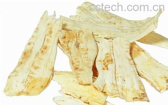 果蔬百科当归的功效-0