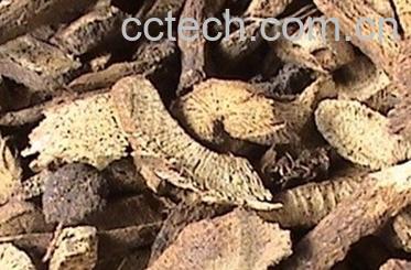 果蔬百科青木香的功效与作用-0