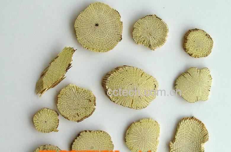 果蔬百科川木通的功效与作用-0