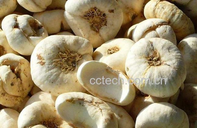 果蔬百科平贝母的功效与作用-0