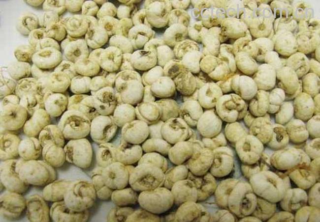 果蔬百科土贝母的功效与作用-0