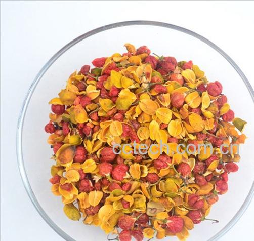 果蔬百科合欢花的功效与作用-0