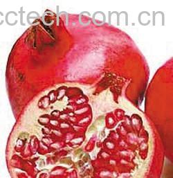 果蔬百科石榴皮-0