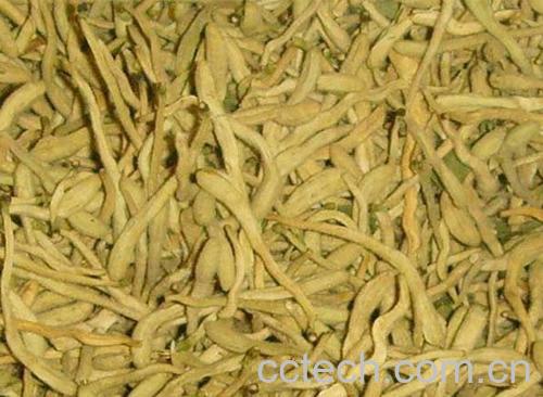 果蔬百科金银花的副作用-0