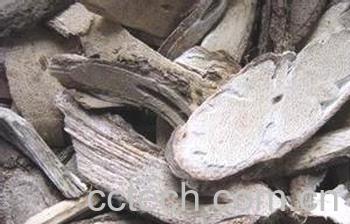 果蔬百科乌骨藤功效-0