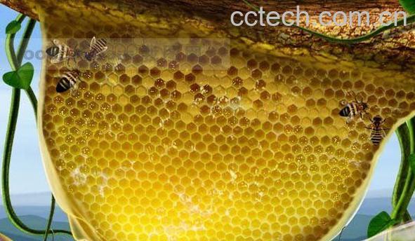 果蔬百科蜂房的功效与作用-0