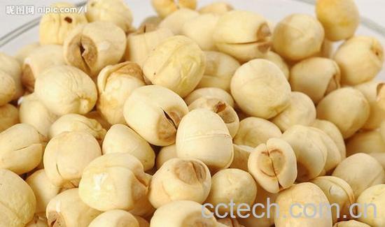 果蔬百科莲子-0