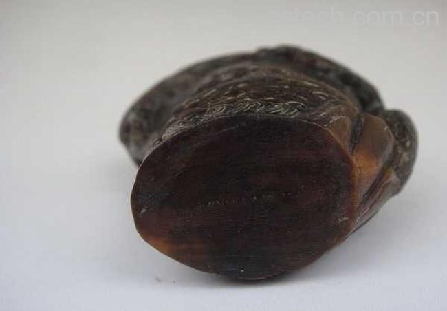 果蔬百科水牛角-0