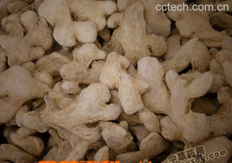 果蔬百科高良姜的功效与作用-0