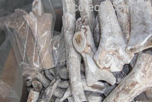 果蔬百科鹿角霜的功效与作用-0