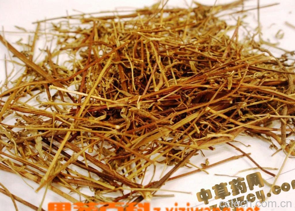 果蔬百科香薷的功效与作用-0