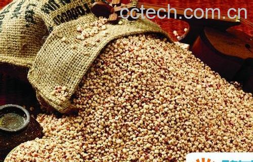 果蔬百科薏米仁的功效与作用-0