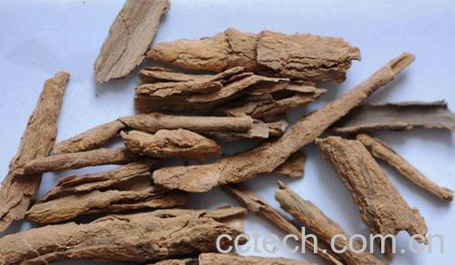 果蔬百科地骨皮的功效与作用-0