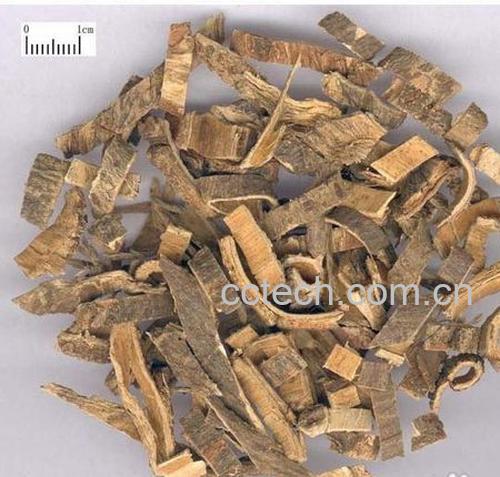 果蔬百科合欢皮的功效与作用-0