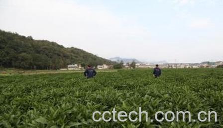 果蔬百科青黛-0