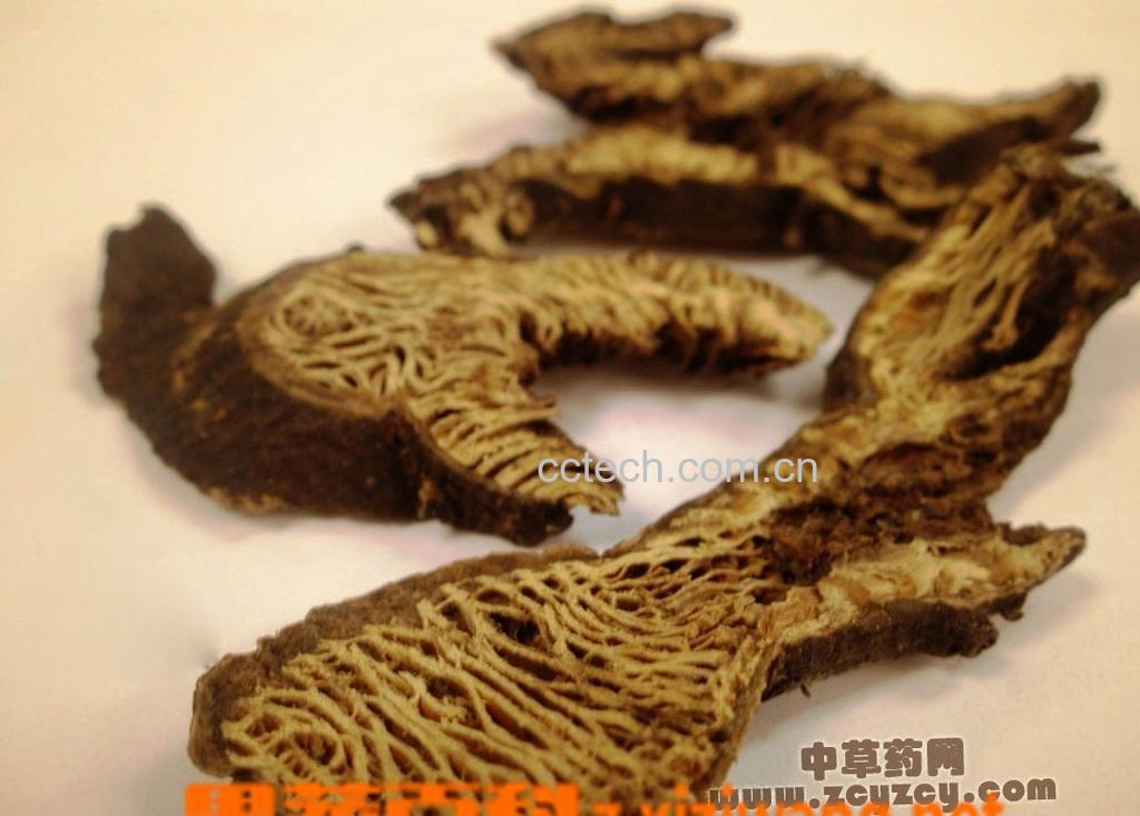 果蔬百科升麻的功效与作用-0