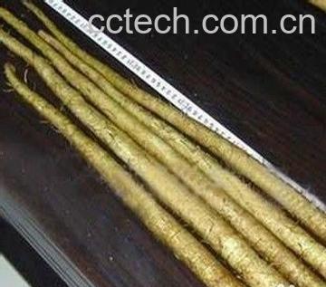 果蔬百科牛蒡子-0