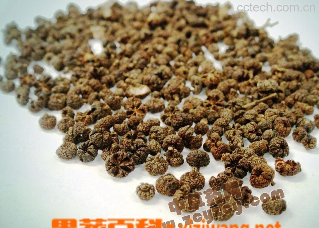 果蔬百科吴茱萸的功效与作用-0
