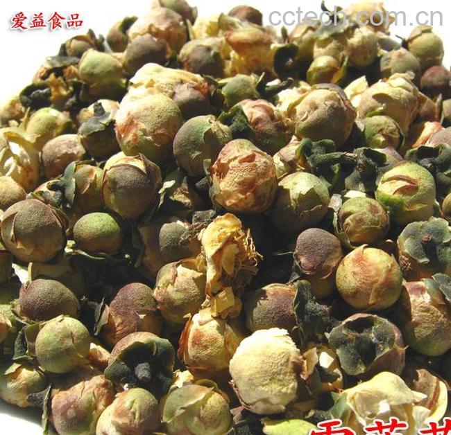 果蔬百科雪莲花的功效与作用-0