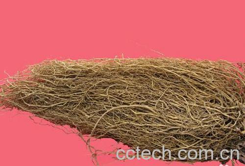 果蔬百科细辛的功效与作用-0