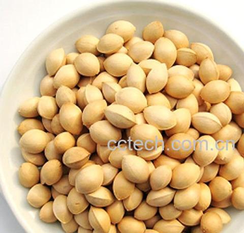 果蔬百科白果的副作用-0