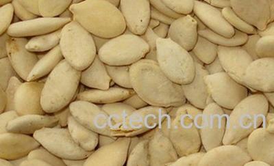 果蔬百科冬瓜子的功效-0