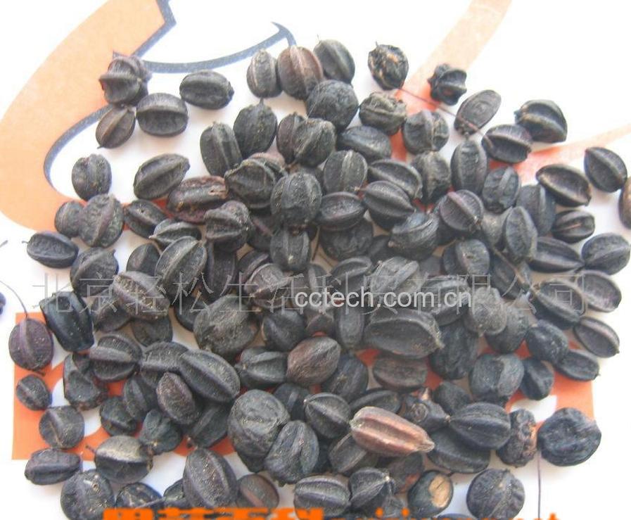 果蔬百科刺五加的功效-0