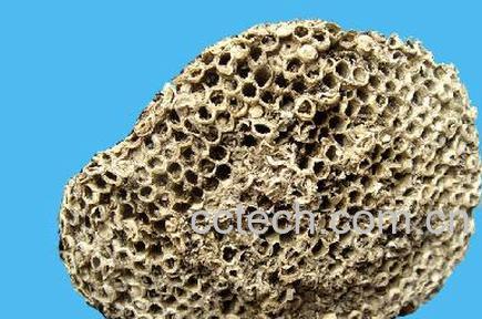 果蔬百科露蜂房-0