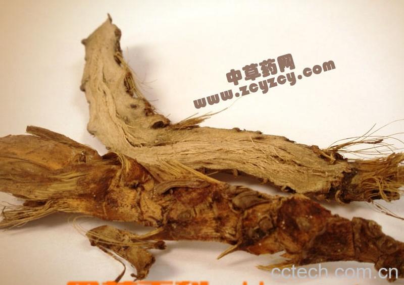 果蔬百科石菖蒲的功效-0