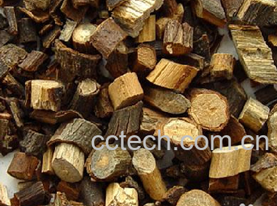 果蔬百科桂枝的功效-0