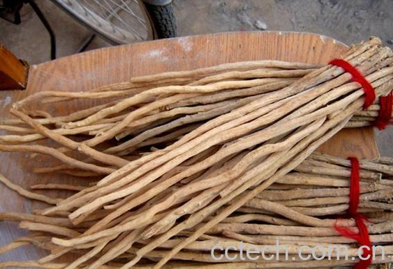 果蔬百科牛膝的作用与功效-0