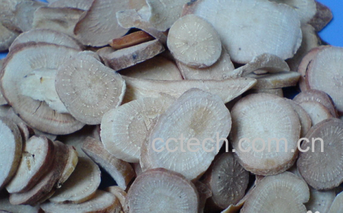 果蔬百科白芍的功效-0