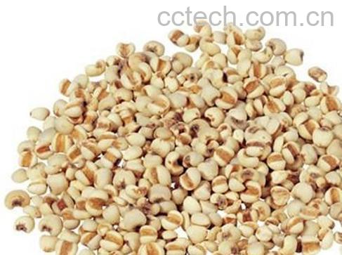 果蔬百科粳米的功效与作用-0